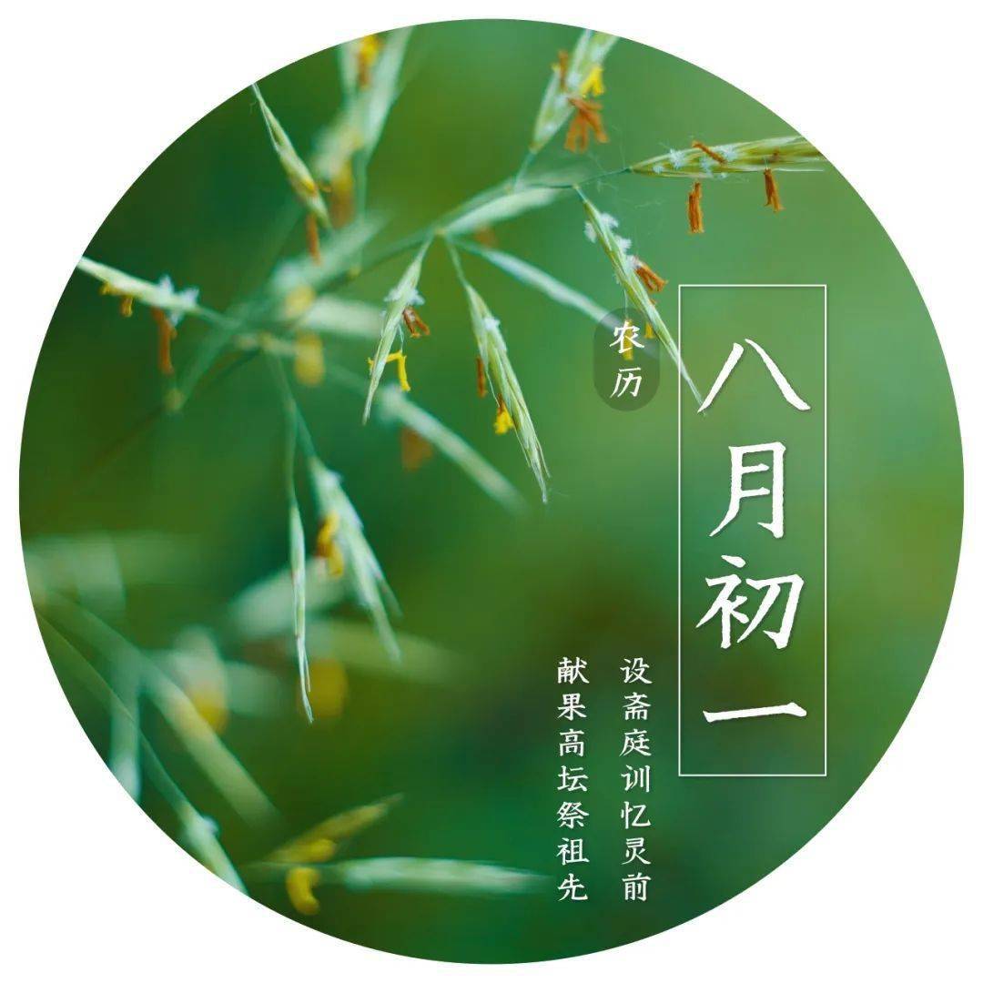 扫墓祭祖所有闽清人农历八月必做的一件事