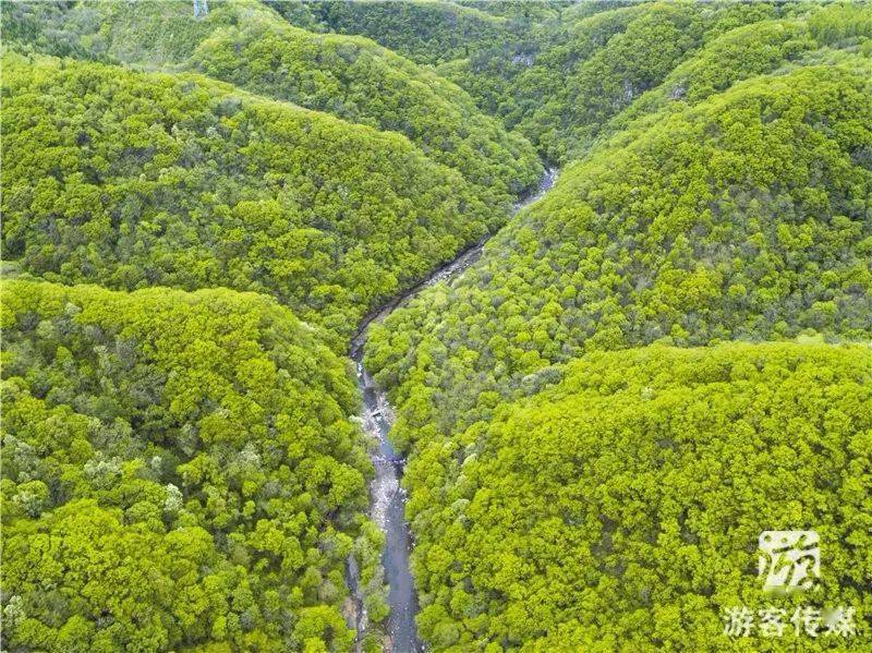 原始幽静,山水相依,风景如画的生态佳境,自然环境优越的天然氧吧!