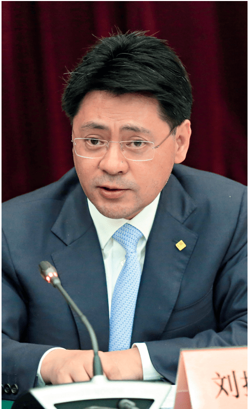 刘挺军:建设大健康产业体系,金融保险与实体经济融合发展