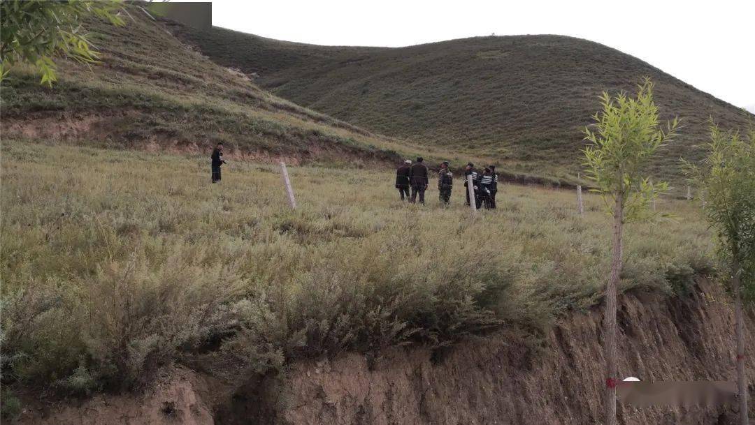 西吉沙沟乡一村民上山放羊失踪两天一夜警犬小七追踪近10公里寻回