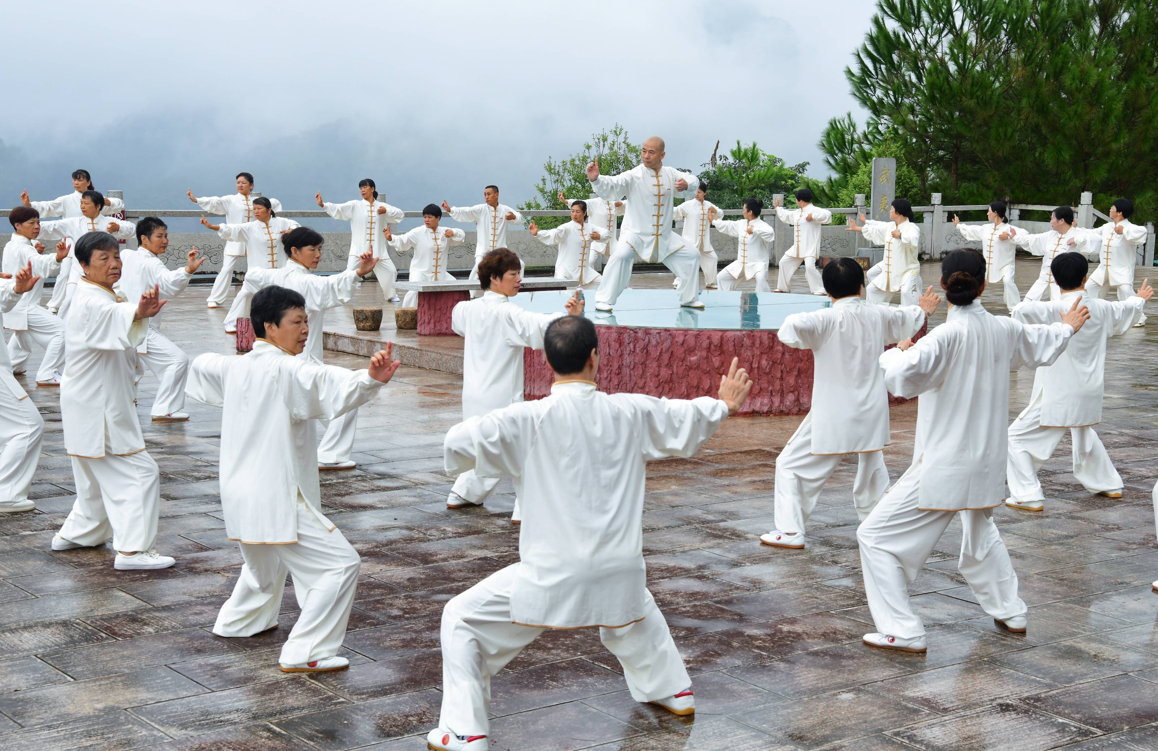 康养旅游走进武夷山