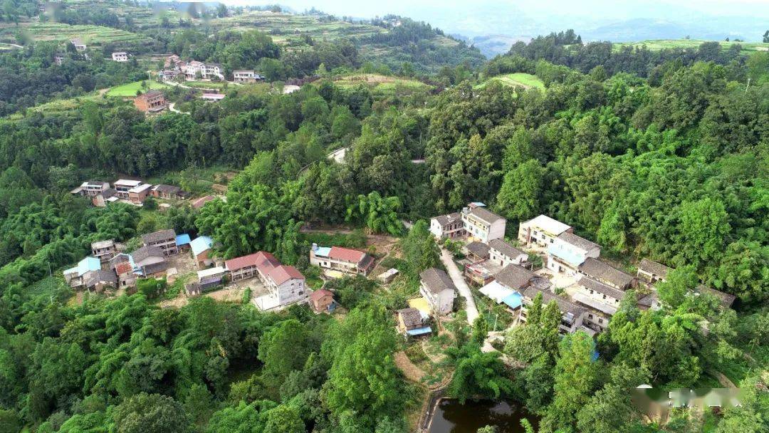 告别贫困36金声乡这个村里产业兴