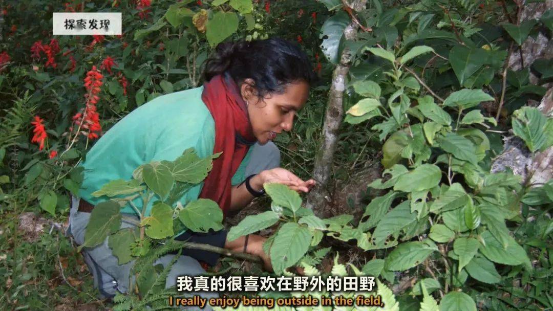 图说纪录片生命博物馆4