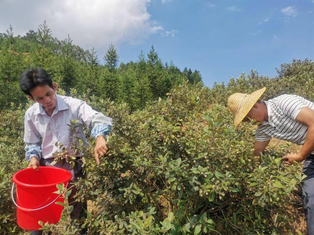 捻子有"钱"景,还有这些项目······_手机搜狐网