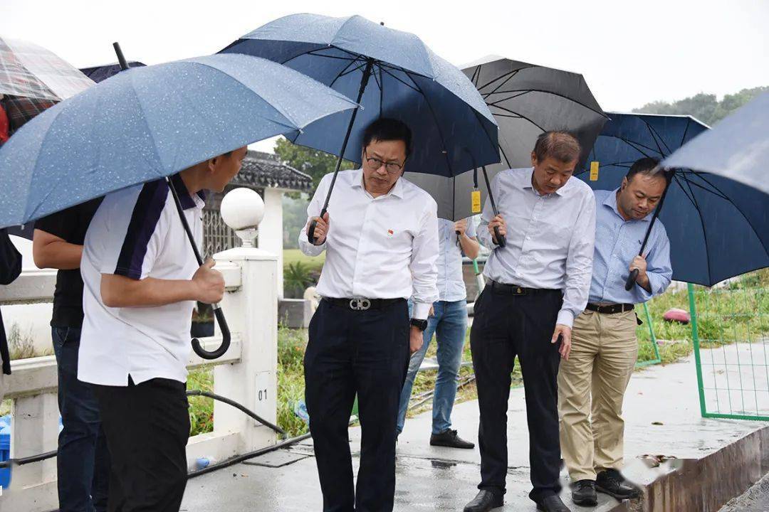 陆文华局长冒雨调研太湖大桥安全生命防护工程