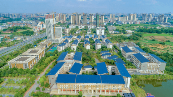 广西台超能职教南职院副校长王凤岭读高职选南职