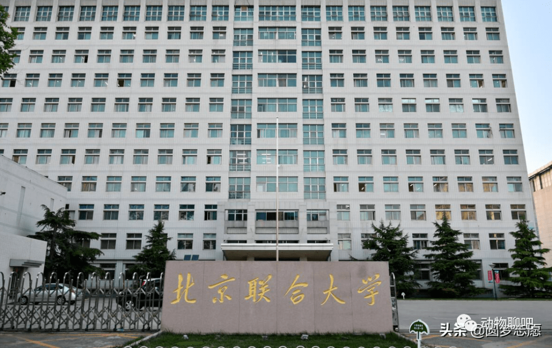 北京联合大学一所被野鸡大学毒害的高校靠不靠谱本文有答案