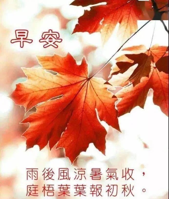 9月18日最漂亮早上好动态表情图片大全早晨好动图美图大全