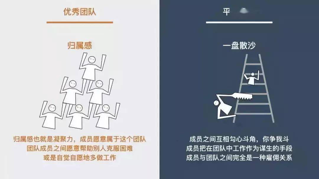 优秀团队一定有的7大特征
