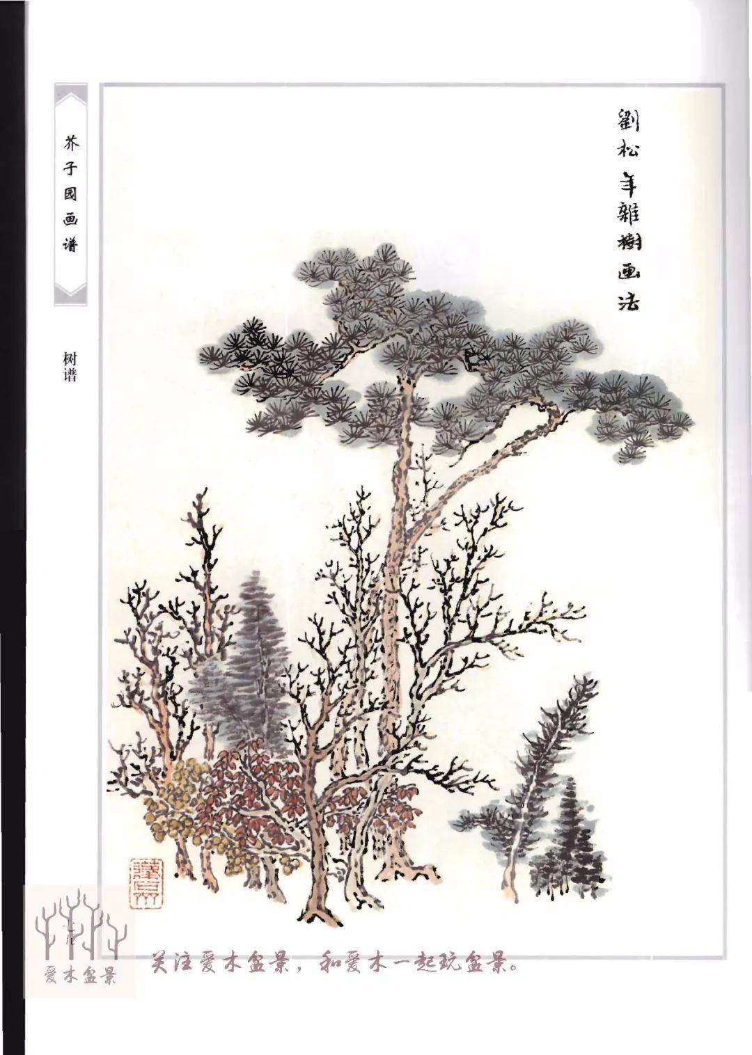 愛木盆景i《芥子園畫譜-樹譜》分享8,盆景造型值得參考的範例