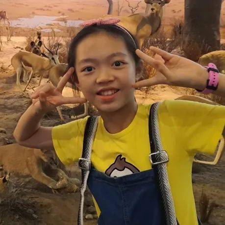 有声作文陈梓萱我是拼装迷