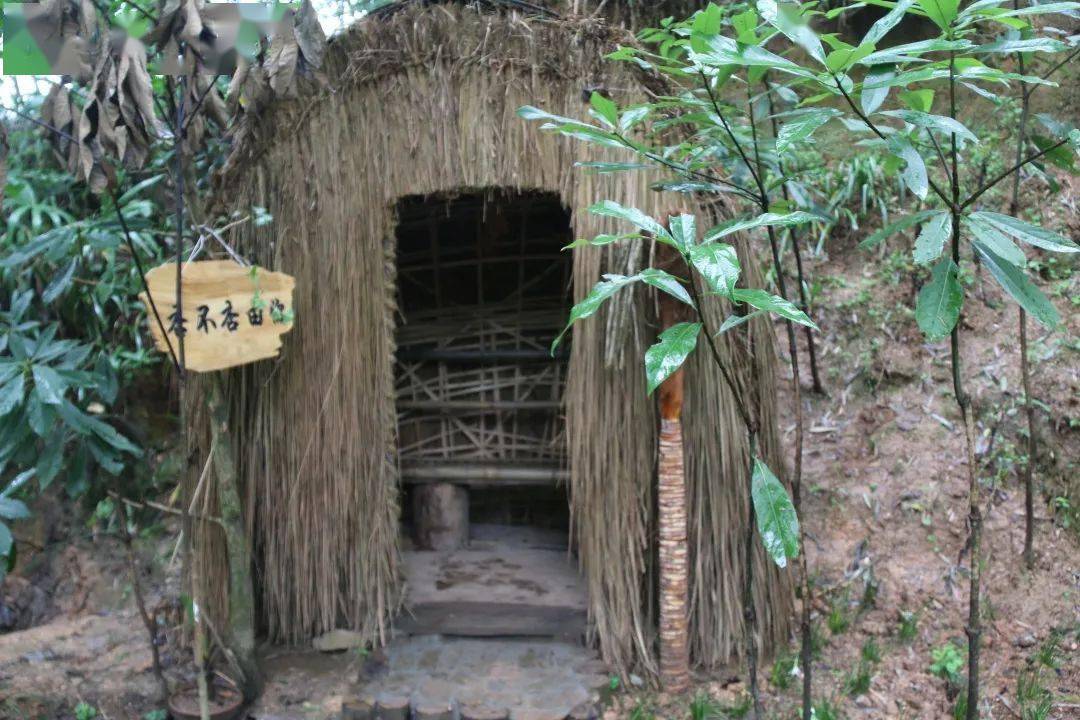 沿河黄池村银杏公园为群众增收开源拓渠