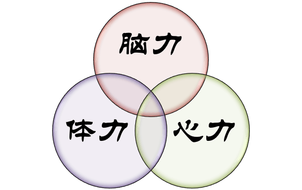 三力模型 | 个人和组织成功三要素_脑力