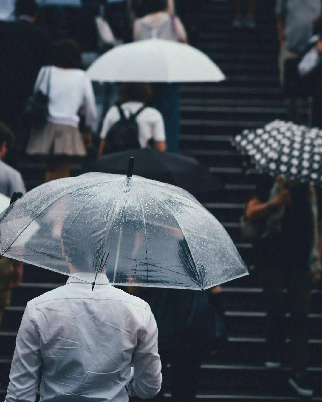 打著雨傘前進的行人,冒雨工作的人,在雨中奔跑的人,每一個雨中人都