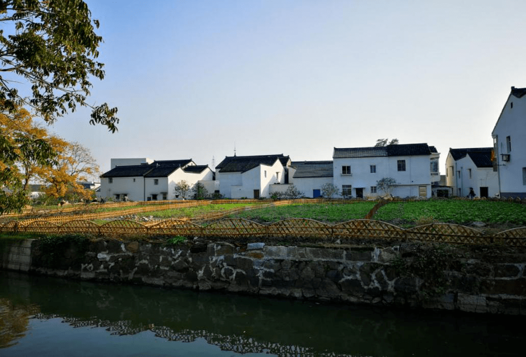 乡村治理典型案例创新红色管家聚焦生态美村