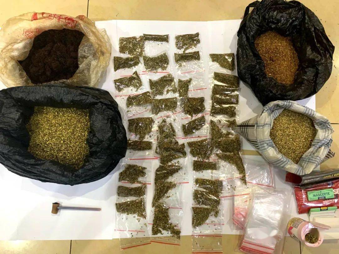 长沙查获毒邮票这种新型毒品皮肤接触也能吸收
