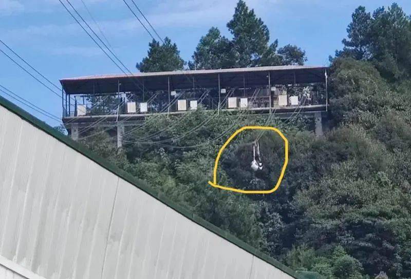 香山缆车坠亡图片
