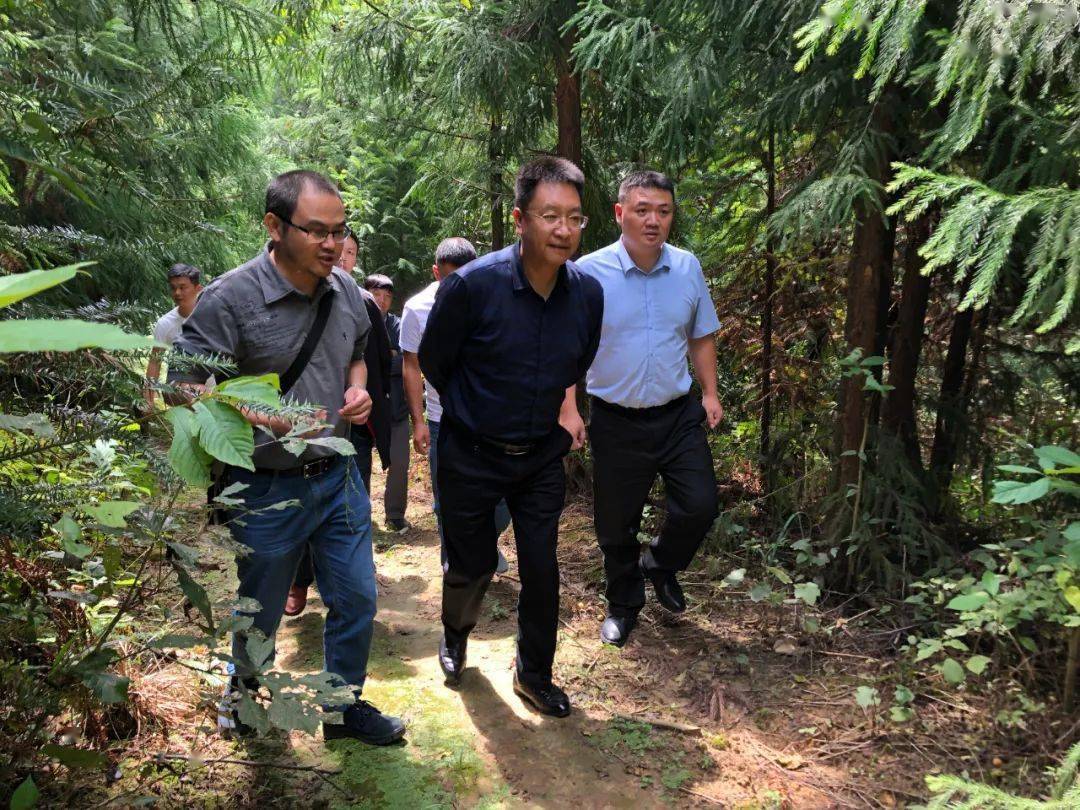 禄斌到部分乡镇开展巡林巡河和调研河脱贫攻坚工作