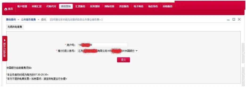 农行网银打不开_农行企业掌银网银管理员_农行专业版网银 usbkey 修改