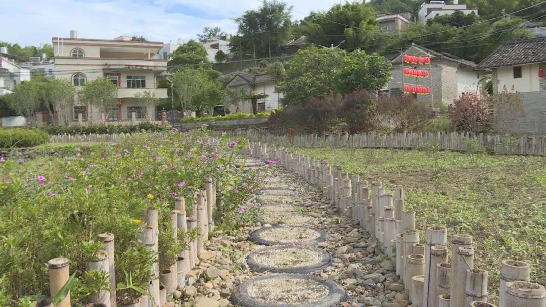 百日行动农村人居环境整治紫金是这样找问题补短板动真格的