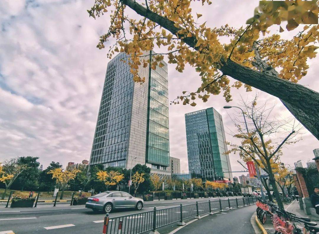 优化营商环境做好企业帮扶四平路街道这样干