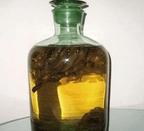 草乌酒(2)乌头碱中毒的药物加工种类:草乌酒,草乌炖鸡等.