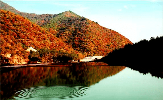 松枝翠绿,枫叶嫣红.这估计也是翠枫山的由来吧!