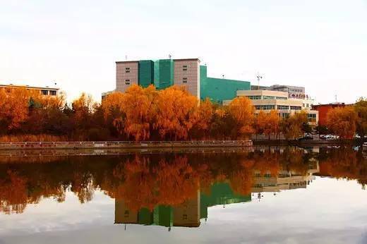 內蒙古大學校園秋景內蒙古農業大學校園秋景內蒙古師範大學校園秋景