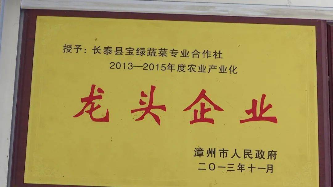 長泰專業合作社激活鄉村振興一池活水