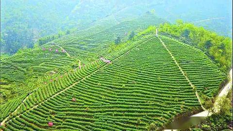 大竹县绿水青山带笑颜