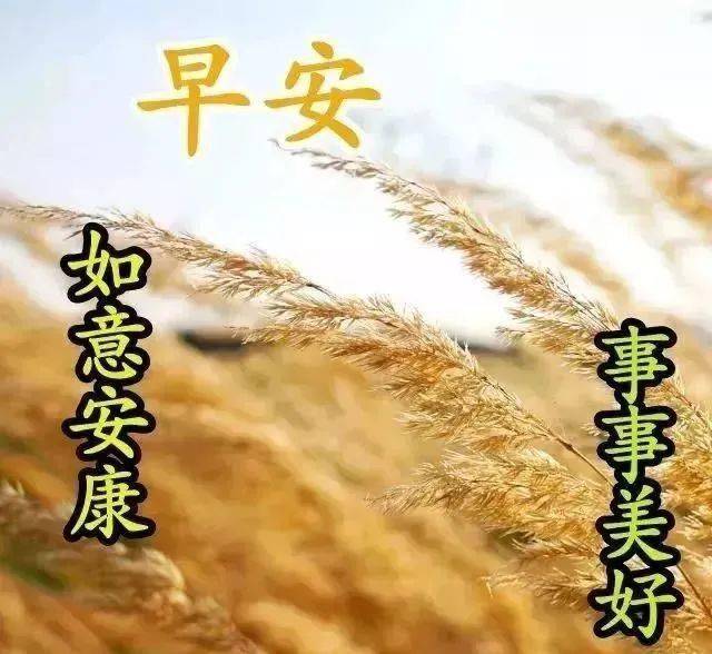 早上好問候美圖早安問候語句