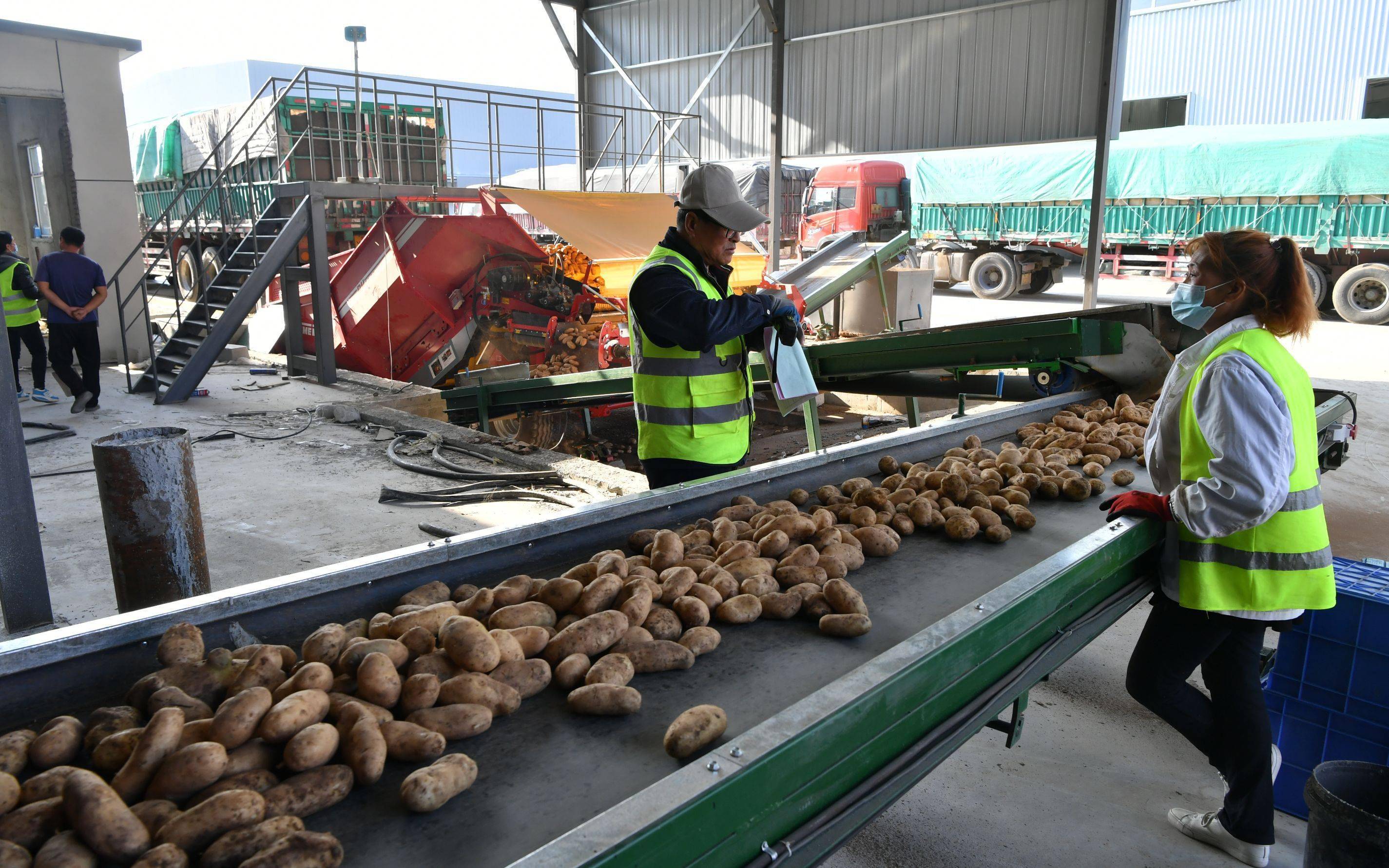 做薯条酿黄酒北京房山区对口帮扶有这些法宝