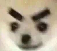 恐怖游戏の王——lwx_水友