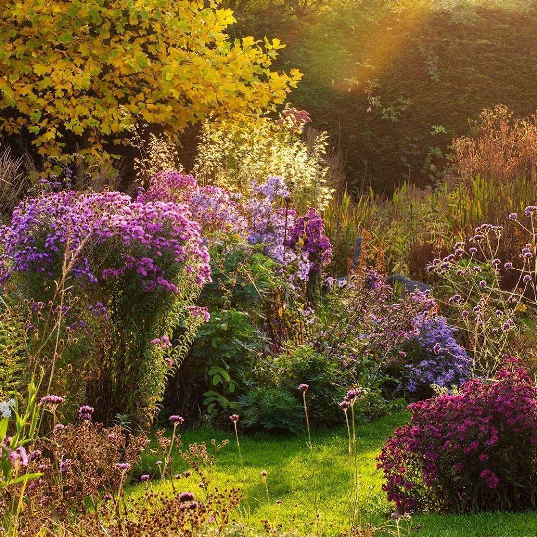 英式花园配色有多牛?看看这位顶级摄影师的作品!