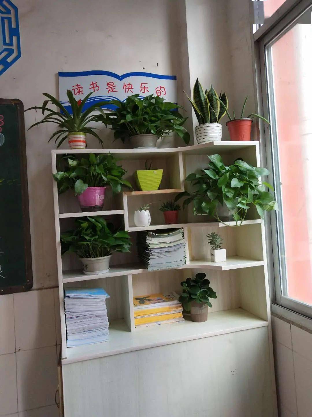 图书角走进教室,浓郁的文化氛围扑面而来,书架上摆放的盆栽绿意盎然