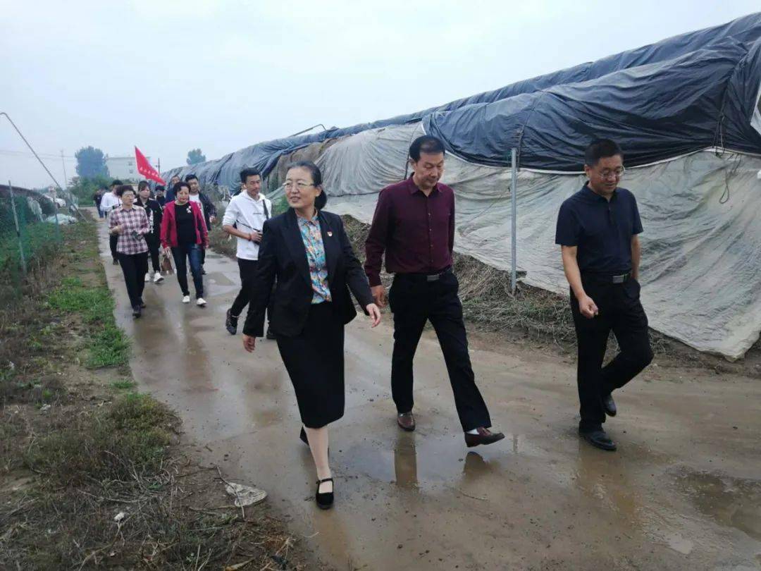 滦南县举办助推乡村振兴新媒体大咖采风活动