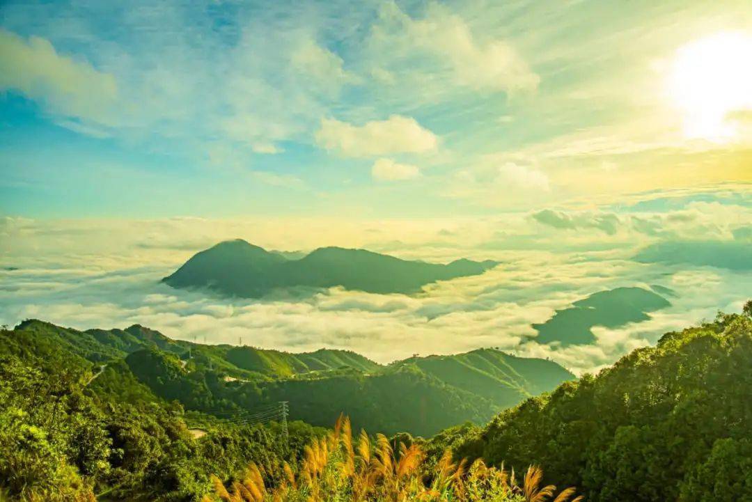 震撼秋日的罗定风车山云海如同仙境