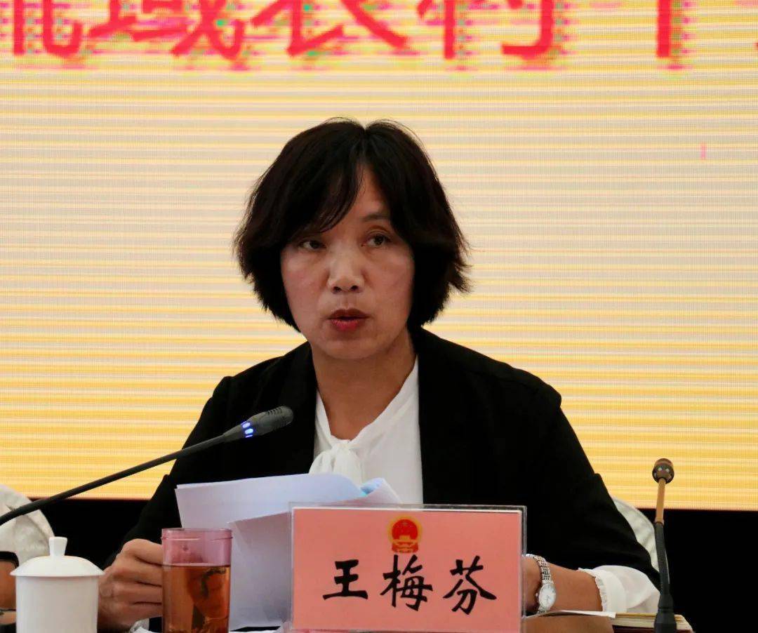 大理市首次开展质询