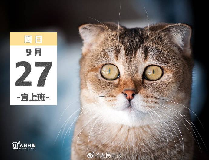 重要提醒:这周日上班!