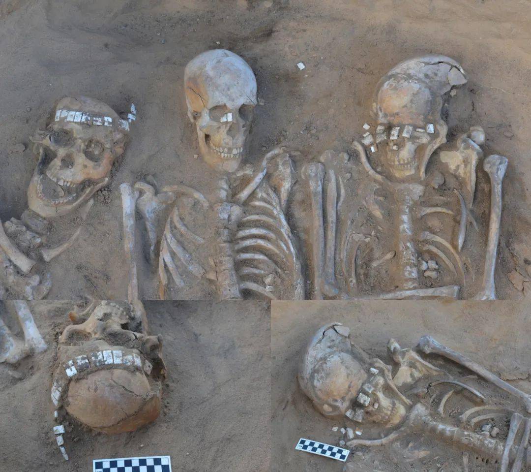 文旅前沿五项考古新成果揭示早期中国的文明基因