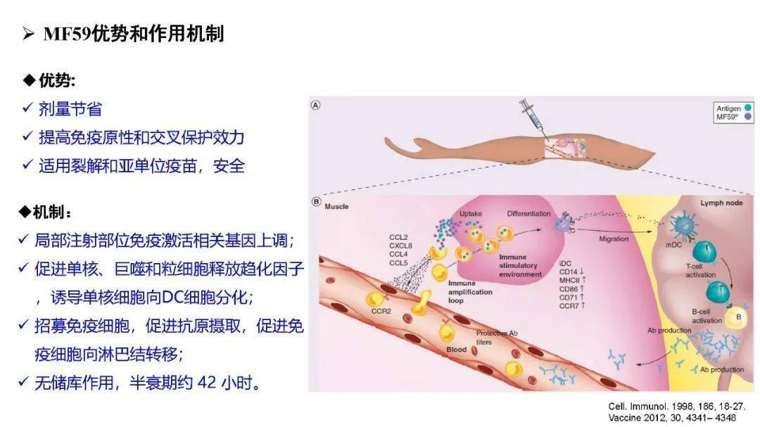 上市疫苗佐剂类型及作用机理_文章