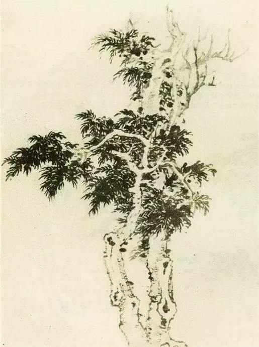 【国画教程】怎样画树?不妨看看这里_树木
