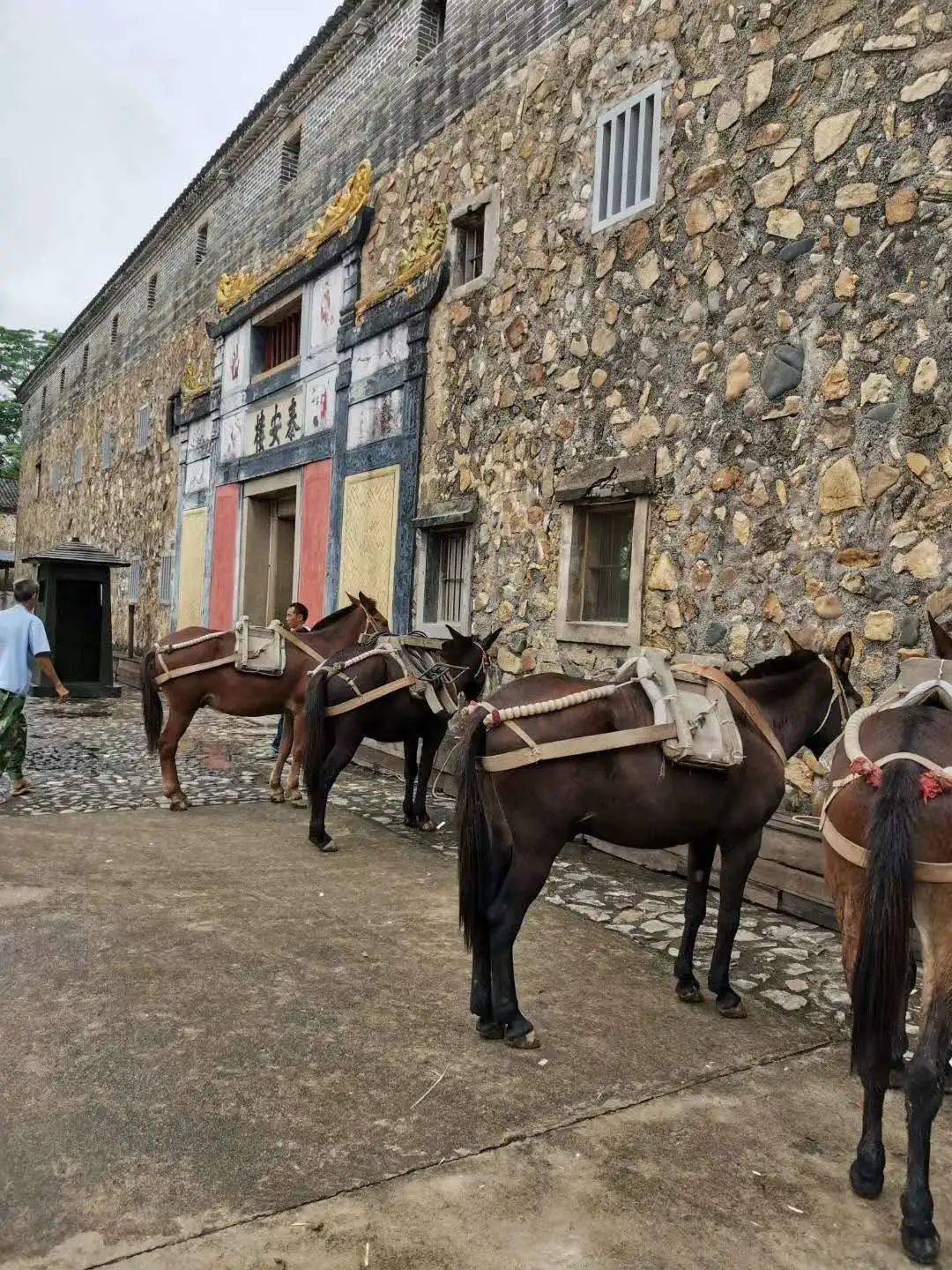 电视剧绝密使命在泰安楼景区拍摄曝光速来围观