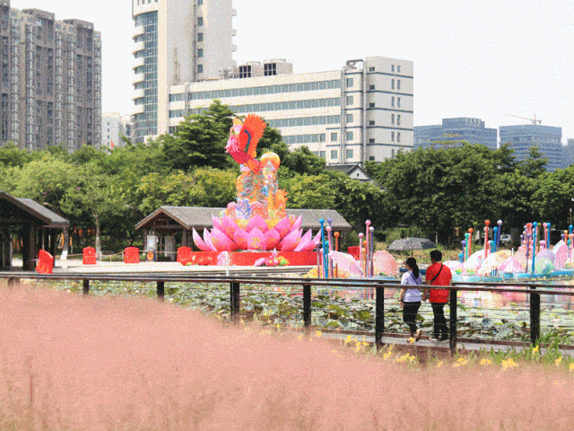 宫灯高挂,小鹿灵动凤凰展翅,樱花浪漫千灯湖畔更多美景和惊喜在等