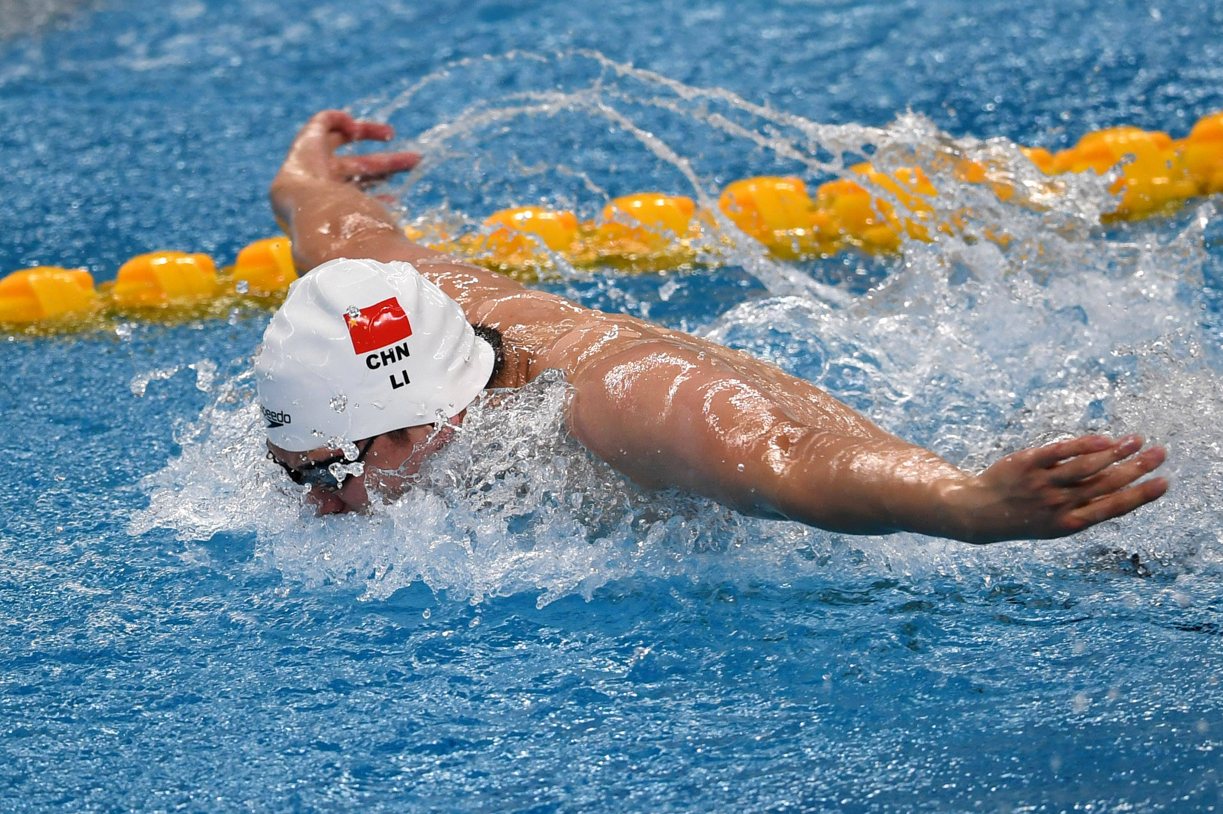 游泳全国冠军赛男子100米蝶泳预赛赛况