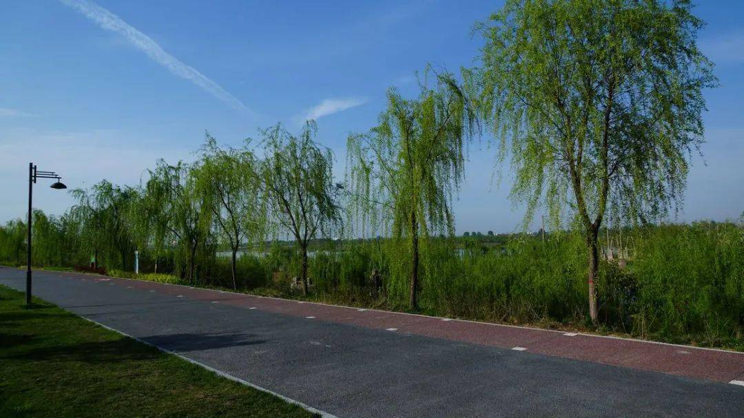 灞河左岸生态公园将在双节与大家见面!