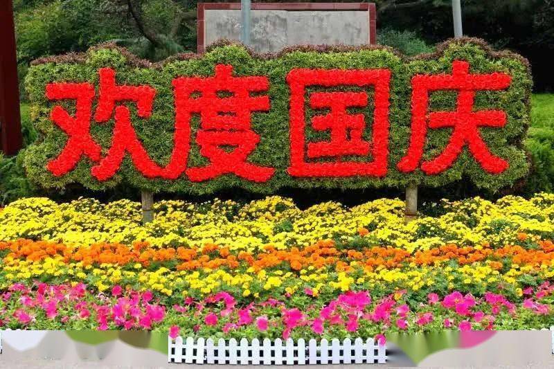 迎接国庆,中秋双节,市城管局所属园林单位精心摆放花卉,设置草花造型
