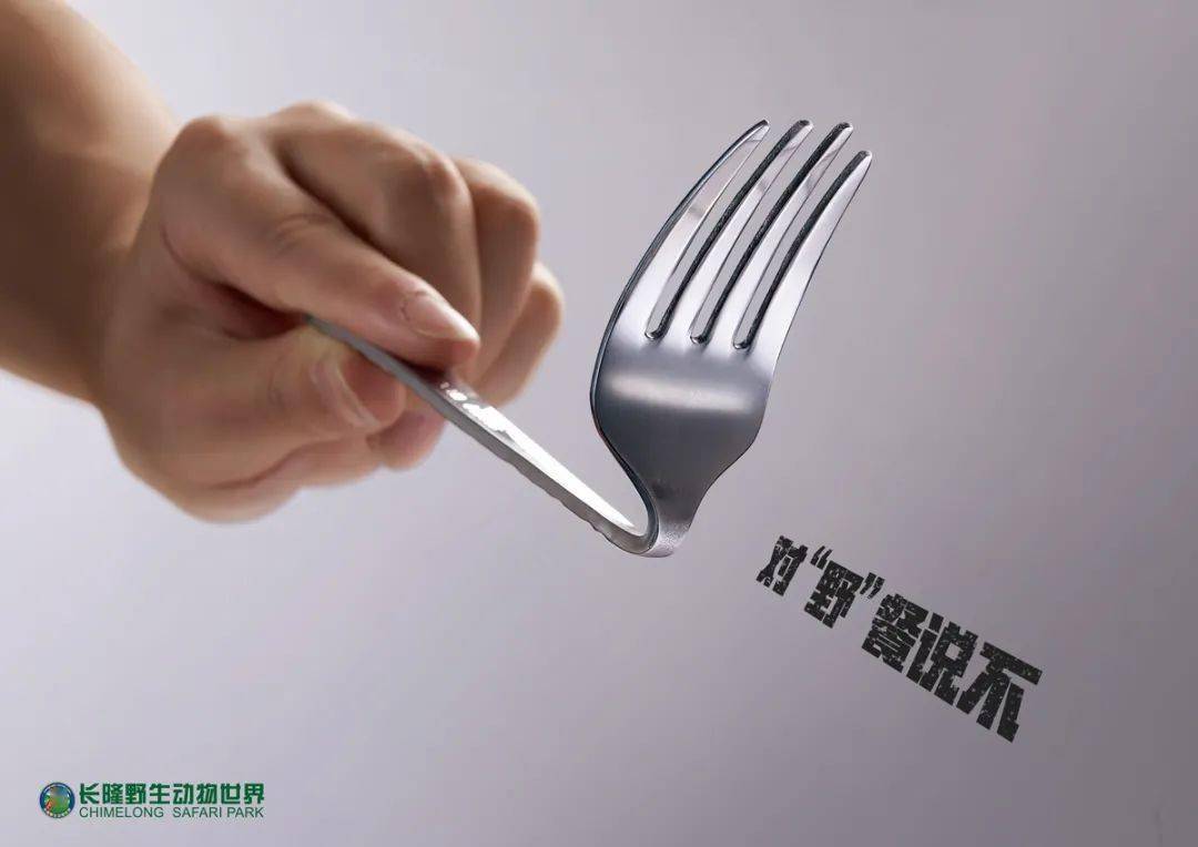 最近一年设计的几则公益海报_创意