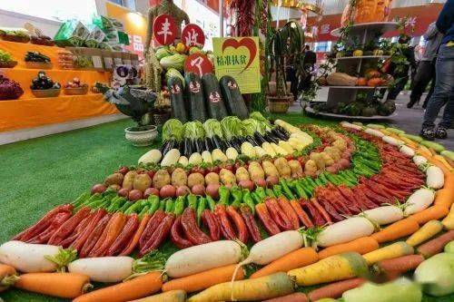 农业"嘉年华" 唱响丰收曲