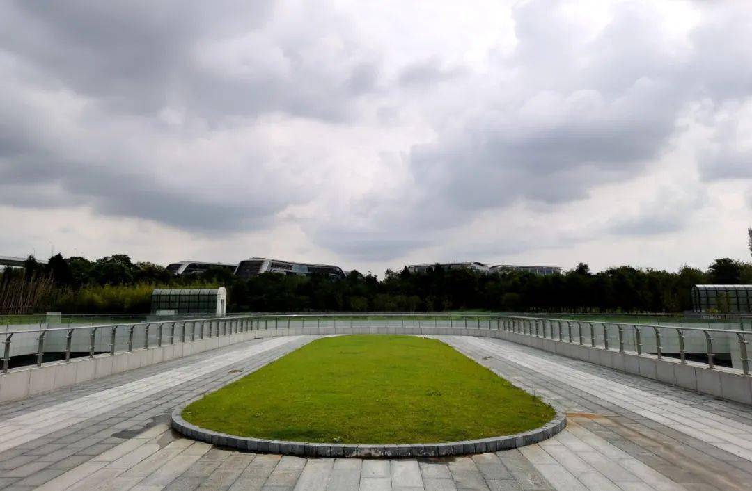 长宁新增一座体育公园!10月1日起,部分空间向公众开放_虹桥